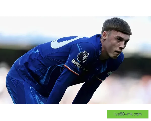 MK体育登录平台全新升级 让您的体育体验更加便捷与畅快